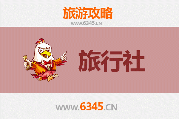 万宁龙滚镇本地旅行社推荐：地道体验与专业服务指南